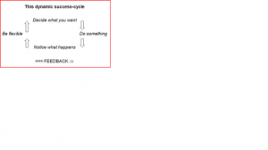 Dynamic success cycle