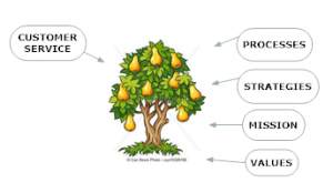 Fruit tree - empowered org